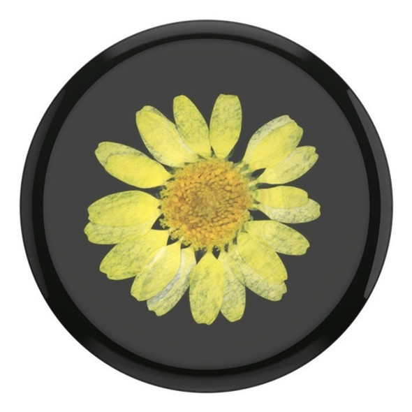 Popsockets Popgrip Soporte Para Celular Y Tablet Margarita 1