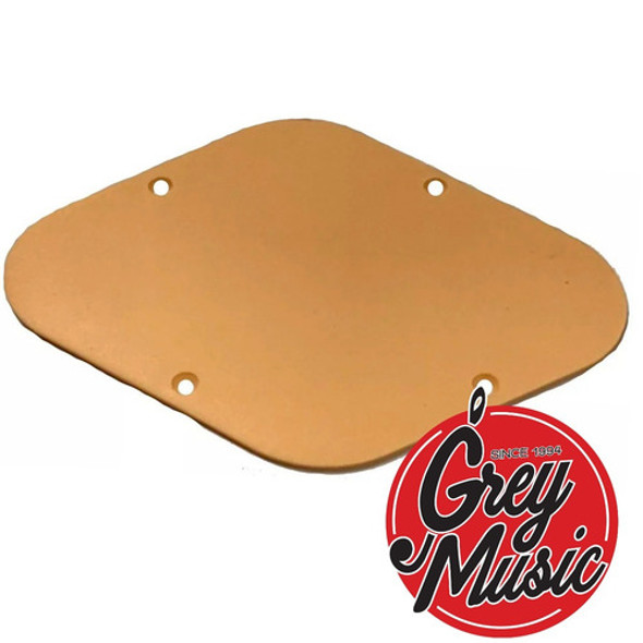 Sambong Bc002 Cr Tapa Trasera Potenciometros De Les Paul 1