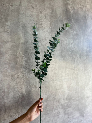 Rama De Eucaliptus Artificial Decoración 1