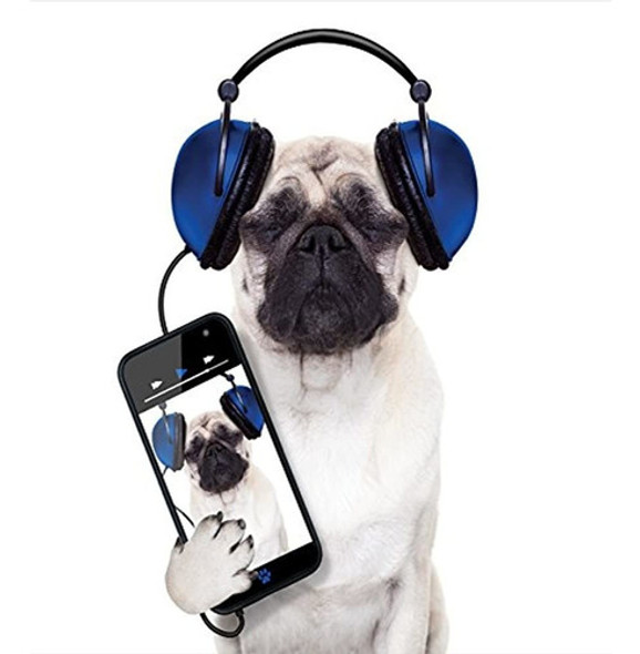 Juego De Funda Nórdica Pug Por Ambesonne, Perro Escuchando M 1