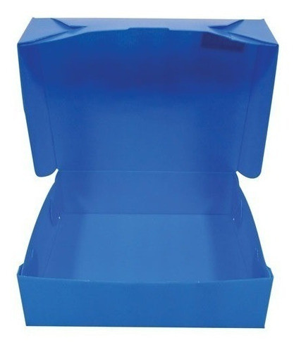 Cajas Archivo Plasticas Legajo 12x28x38 Paquete X25 Azules 1