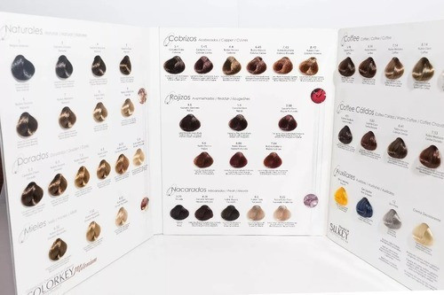 Carta De Color Silkey Milenium 1