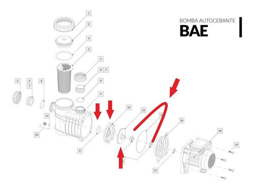 Repuesto Bomba Vulcano Bae50 Difusor, Impulsor, Sello, Oring 1