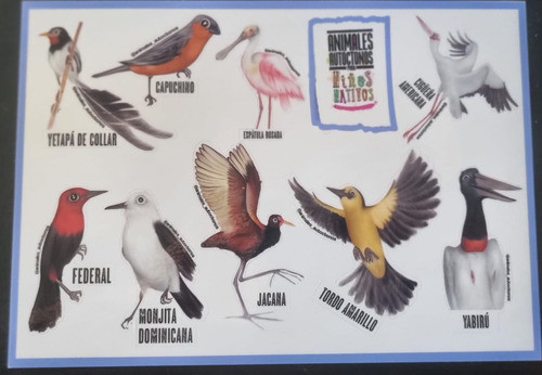 Calcos / Sticker De Animales Autoctonos 0