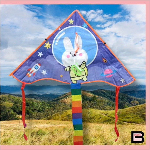 Combo Barrilete Cometa Conejo Astronauta + Frisbee Clasico 1