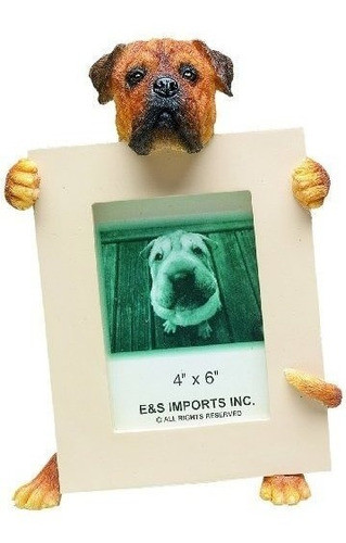 El Marco De Imagen Bullmastiff Tiene Su Foto Favorita De 2.5 0