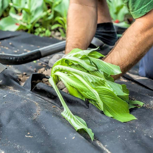 Tela Malla Antihierbas Geotextil 16,6 Mts - 80 Grs [ 25 M² ] 1