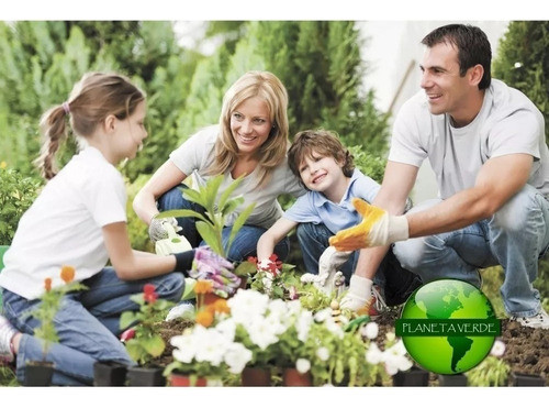 Yoguen 3 2kg Regulador Crecimiento Foliar Suelo Pr6 1