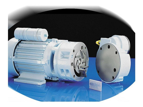 Paleta De Grafito Bombas De Vacio Becker, Graficas Riestchle 1