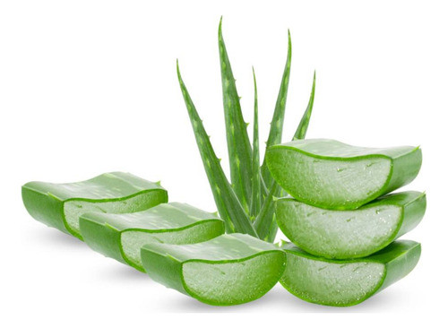 Aloe Orgánico  Para Cosmética O Medicinal 0