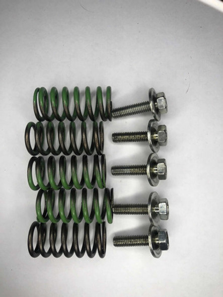 Kit Resortes Embrague Original Honda Cb 250 New Twister 1