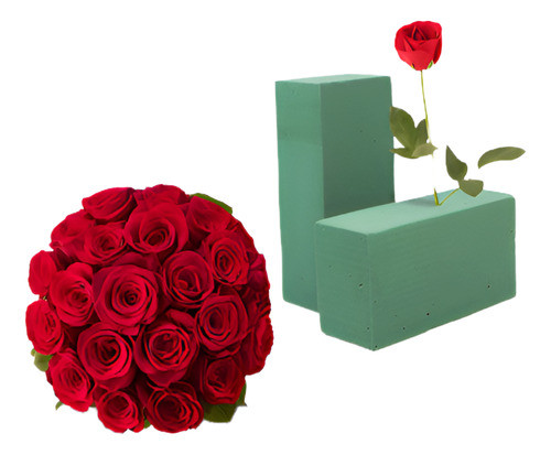 Espuma Floral Oasis Pack 3 0