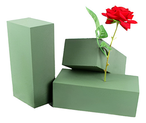 Espuma Floral Oasis Pack 3 1