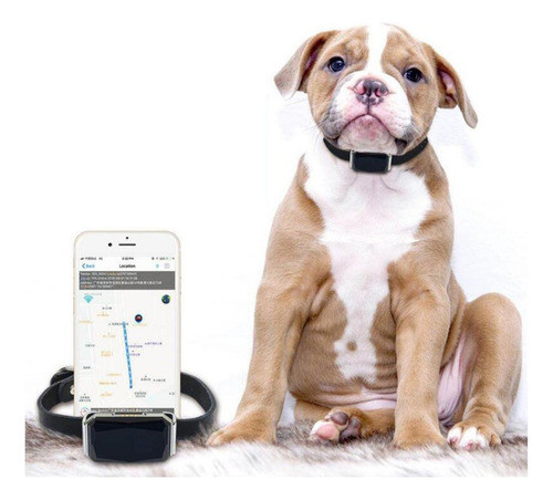 Collar Localizador Rastreador Gps Para Mascotas Perros Gatos 0