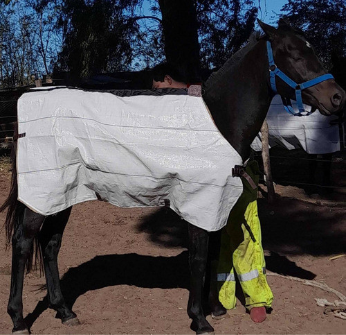 Mantas Tapas Carpas Ponchos Para Caballo Rafia Y Arpillera 1