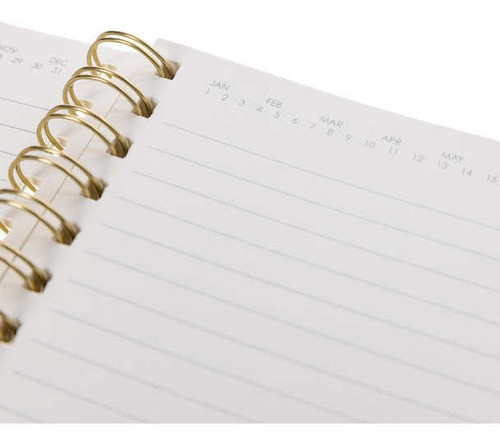 Cuaderno Focus On Today Graphique - Mosca 1