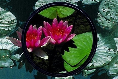 Heliopan 55mm Filtro Polarizador Circular Delgado Sh-pmc (70 1