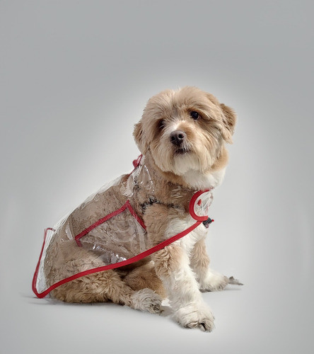 Piloto Impermeable Para Perros - Talle 2 1