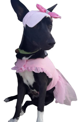 Gorros Con Visera Para Mascotas 1