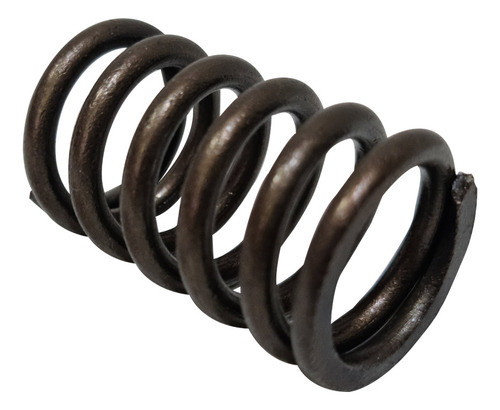 Resorte Valvula Clio-r-19 Die.96-tdi 1