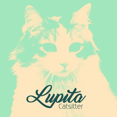 Cuidado De Gatos A Domicilio 0