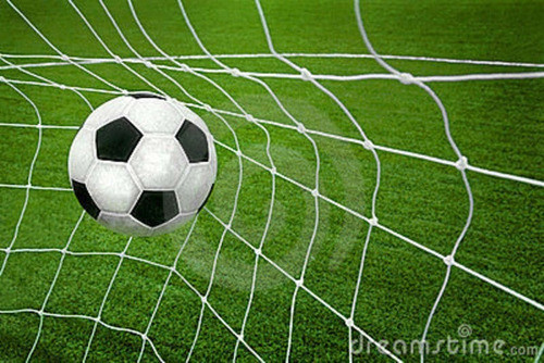 Red Para Arco De Papi Futbol O Hockey  3 X 2 Mt - Gymtonic 1