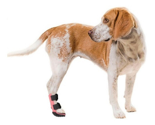 Ferula Perro Grande Tongue Corta De 20 A25 Cm Alt Malapata3d 0