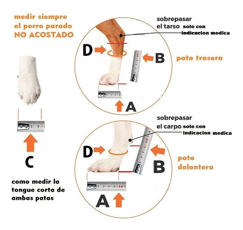 Ferula Perro Grande Tongue Corta De 20 A25 Cm Alt Malapata3d 1