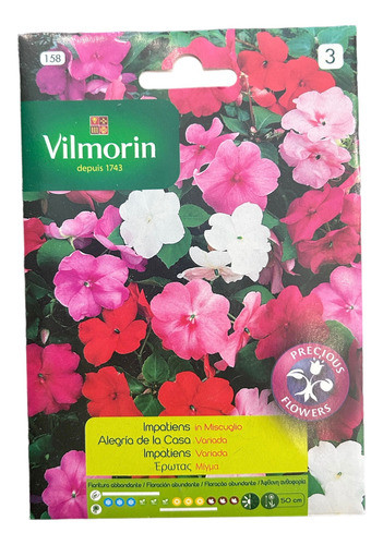 Semillas Flores - Alegría Semi Enana - Envíos 0