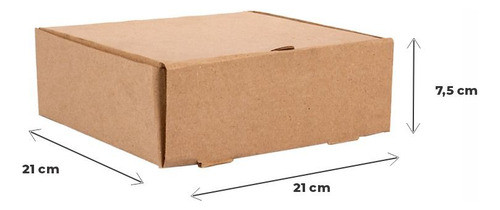 Caja Micro Cartón M/m (21*21*7,5cm)  Gran Lomo X 100 Unid. 1