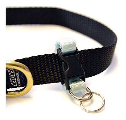 Titular De Identificacion De Mascotas Cetacea Tag-it, Azul 1