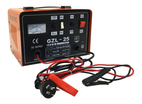 Cargador Bateria Auto Moto Camioneta 25 Amp 12v/24v 0