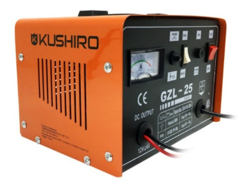 Cargador Bateria Auto Moto Camioneta 25 Amp 12v/24v 1