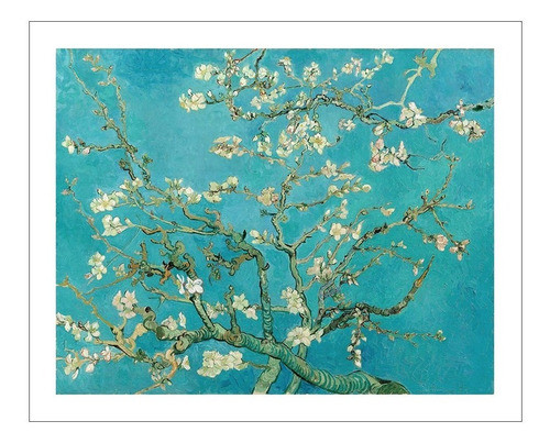 Lamina Fine Art Almendro En Flor Van Gogh 57x70 Myc 0