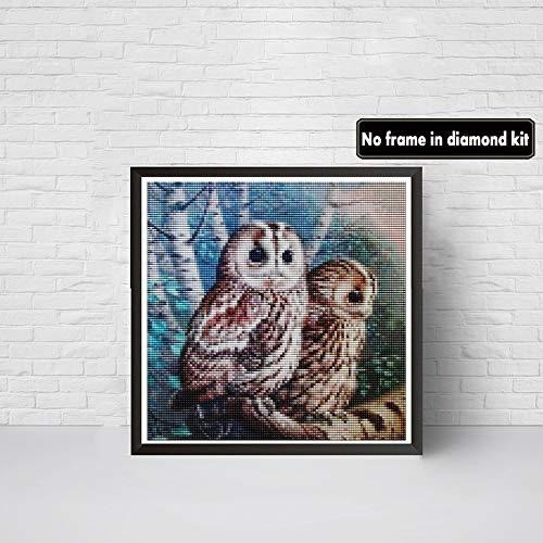 Pintura Por Diamantes Kit Completo 35x35cm -8sbhvsq4 1