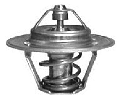 Termostato Citroen Ax - 1.4 I 8v 75 Cv Nafta 1986 Al 1998 0