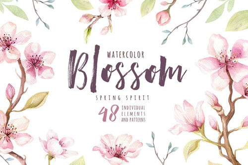 Cliparts Png Flores Blossom Acuarela Watercolor Pa3 0
