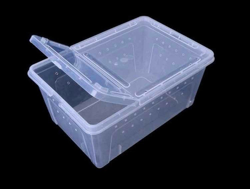 Caja Plástica Gde. Gecko Araña Escorpion Anfibio (m.envio) 0