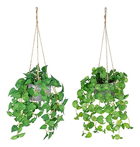 Plantas Falsas Plantas Artificiales Colgantes Plantas De Euc 0