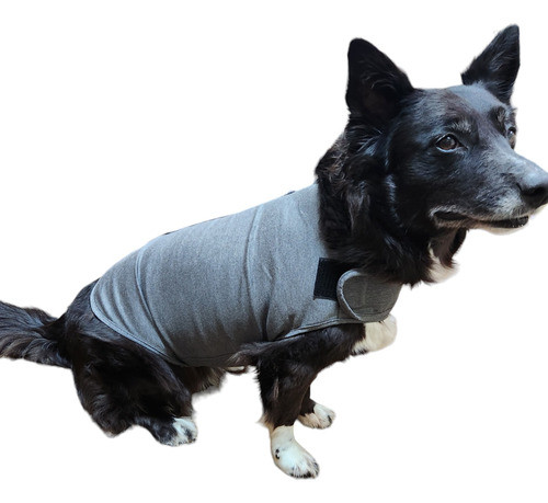 Chaleco Para La Ansiedad Tipo   Thundershirt  Talle  Xs 0