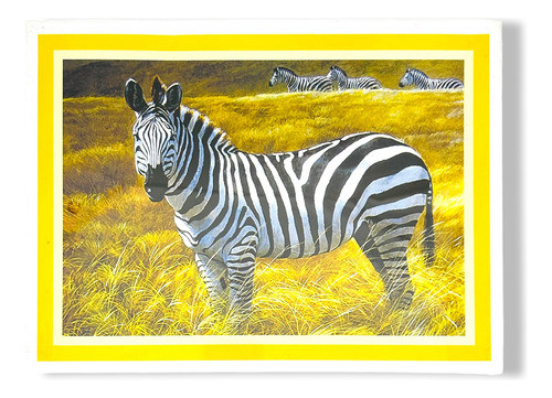 Puzzle 500 Piezas Rompe Cabezas Varios Diseños En Caja 0