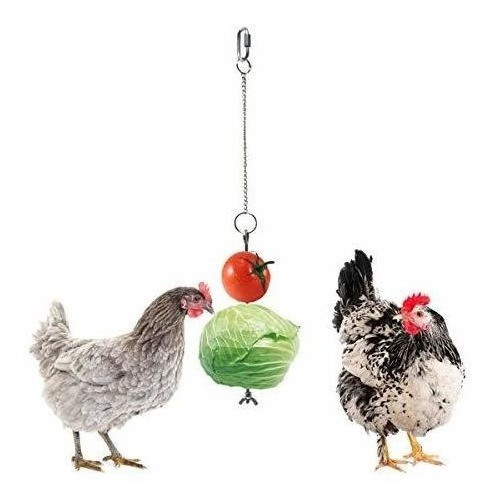 Vehiculo Pollo Verduras Brocheta Porta Frutas Para Gallinas 0