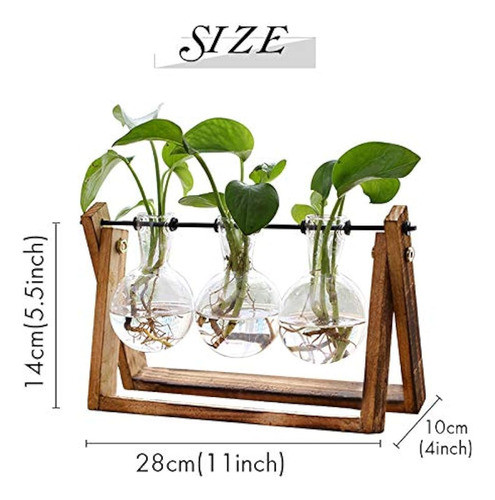 Xxxflower - Terrario De Plantas Con Soporte De Madera, Macet 1
