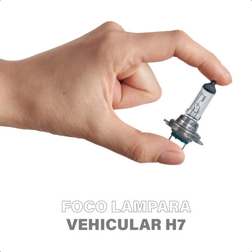 Lamparitas Focos Para Auto Luces Bajas Altas Faros Vehiculos 1