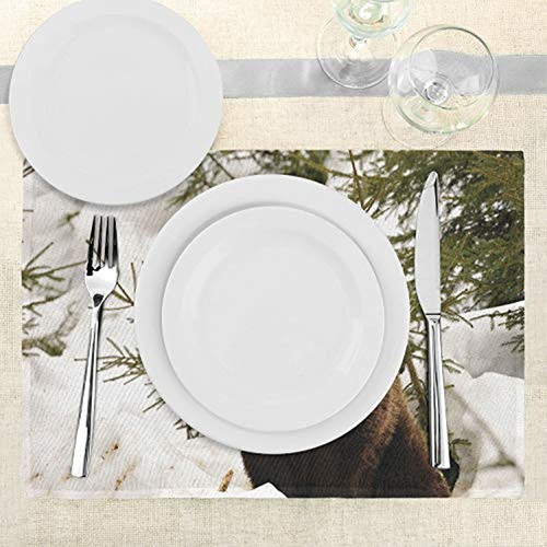 Lunarable Nature Place Mats Juego De 4 Wild Big Grizzly Bear 1