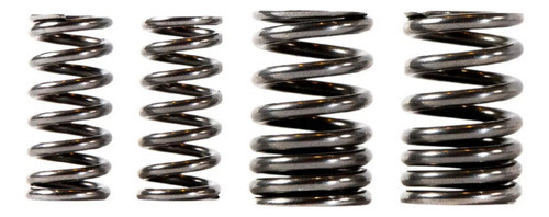 Resortes De Valvula Mpi Kayak Varilleros 150 Duros Gaona 0