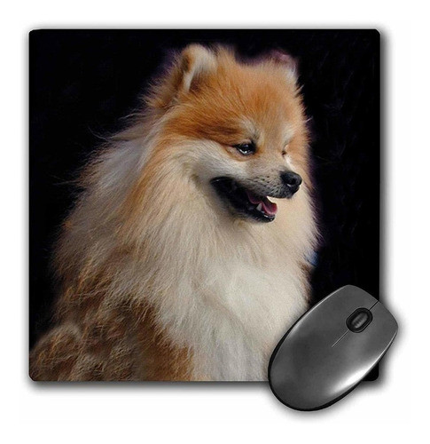 3drose Llc 8 x 8 x 0.25 inches Mouse Pad, Pomeranian Retr 0