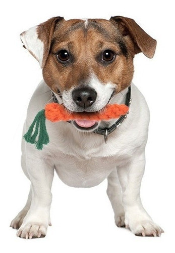 Juguete De Hilo Zanahoria Limpia Dientes 15cm Para Perro 0