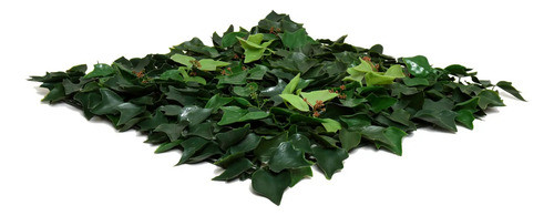 Enredaderas Artificiales Helix 50x50 Filtro Uv Ap. Natural 1