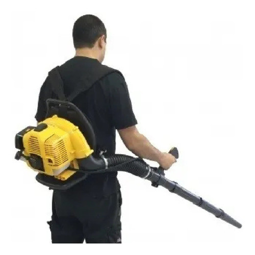 Soplador A Gasolina Mochila 33cc Forest Garden Sg1033 - Tyt 0